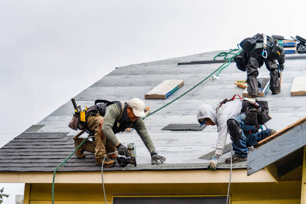 Professional Storm Damage Roof Repair technician working in East Palatka, FL